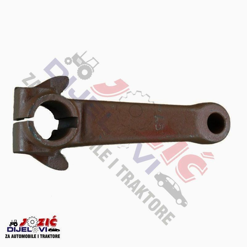 Daisy on the Ohoopee